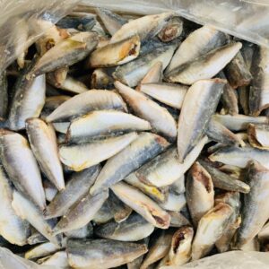 Cá nục làm sạch 10kg/T - size 28-30 con/kg
