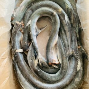 Cá Xương xanh / Cá Nhái  cắt đầu 10kg/