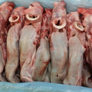 Lưỡi heo có cuống MPK 10kg/T / Port Tougue