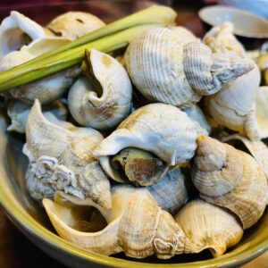 Ốc Bulot size 20-40con/kg thùng 5kg