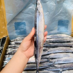 Cá thu đao size 3 (15-20 CON/KG)