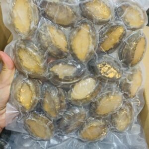 Bào Ngư Size 19-20 10kg/T