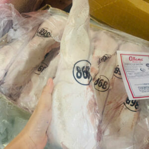 86 Lưỡi trâu / Buffalo Tongue / Allana 20kg/T - NHỎ