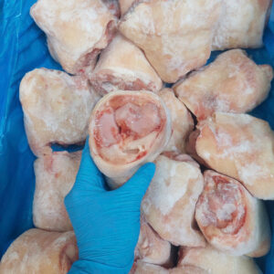 Khoanh giò heo / pork knee / Bỉ / Belgian 10kg/T - Thùng trắng