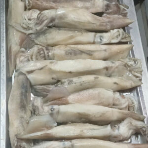 Mực ống size 300-400 gram 15-18kg/T